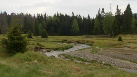 Nedej se! - Šumava na rozcestí