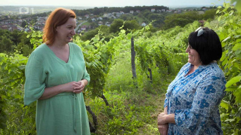 Pečení na neděli - Chorvatsko