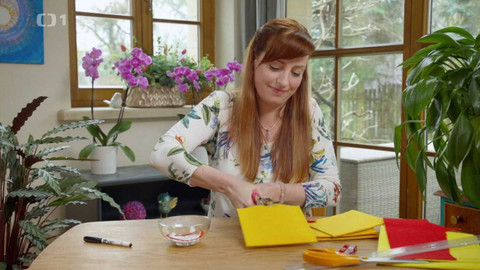 Všechno, co mám ráda - Epizoda 203/46