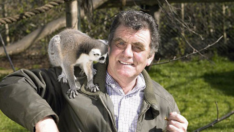 City Folk - Dublin, 2006