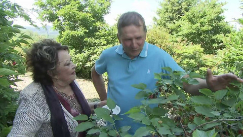 Hobby naší doby - 24. září 2022