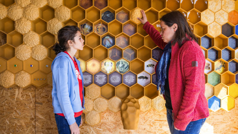 My se máme - My se máme, že máme včely