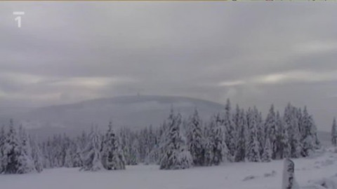 Toulavá kamera - 14. února 2010