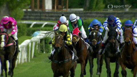 Dostihy - Jarní cena Pardubického závodiště