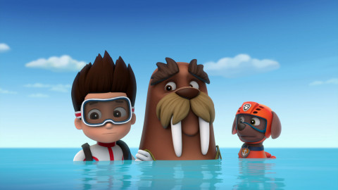 Tlapková patrola - Tlapky a Rabl / Tlapky zachraňují mrože