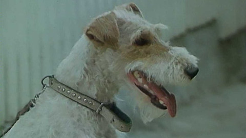 Z metropole - 12. března 2022