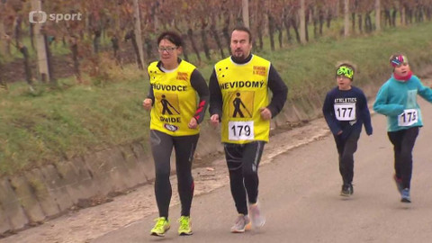 Sport v regionech - Vinařský maraton, Velké Bílovice