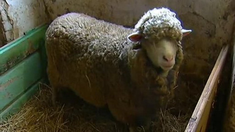 Chcete mě? - 10. února 2007