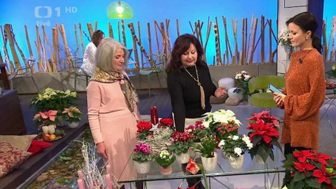 Sama doma - 29. listopadu 2023