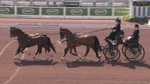 Světové jezdecké hry 2014 Francie - 10. den