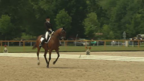 Jezdectví - M ČR drezura Praha