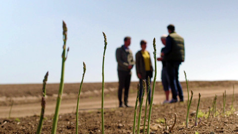 Co naše babičky uměly a na co my jsme zapomněli - Zapomenuté lahůdky