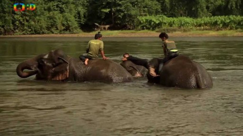 Cestohrátky - Thajsko