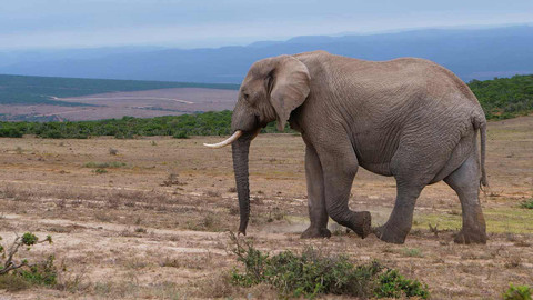 Na cestě - Na cestě po jihoafrickém Zululandu