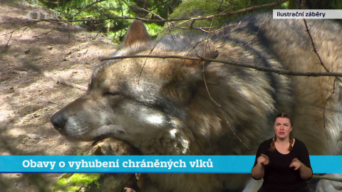 Události v regionech (Brno) - 16. ledna