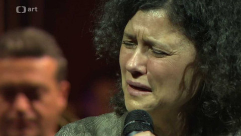 Světlo porozumění - Světlo porozumění 2014