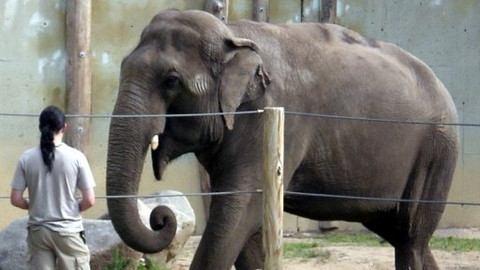 Mezi námi zvířaty - 26. května 2009