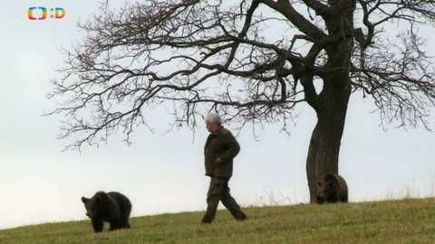 Méďové na cestách - 23/43 Bílé Karpaty