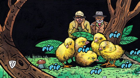 Na houby - 9/13 Lišky, kuřátka a břichatky