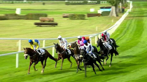 Dostihy - Křišťálový pohár města Pardubic