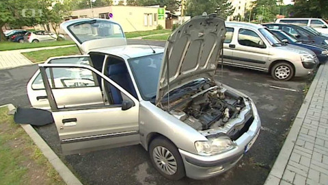 Černé ovce - 10. října 2016