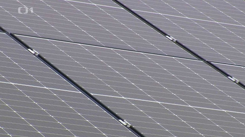 Černé ovce - 13. listopadu 2023