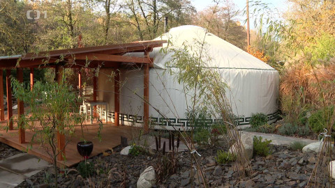 Černé ovce - 10. prosince