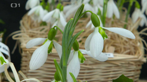 Polopatě - 17. března 2024