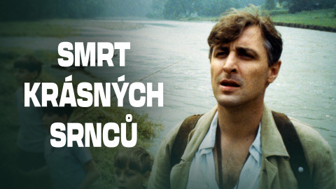 Smrt krásných srnců