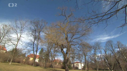 Nedej se! - Pravidla musí platit pro každého