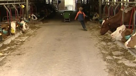 U nás na farmě - 8/26 Andreas z Rakouska