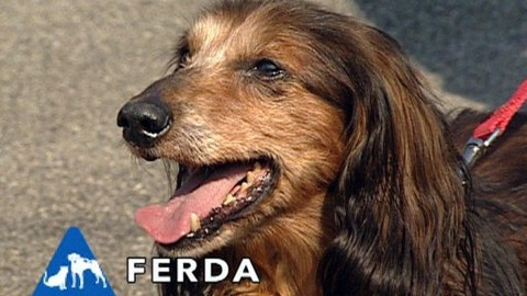 Chcete mě? - Chcete je?