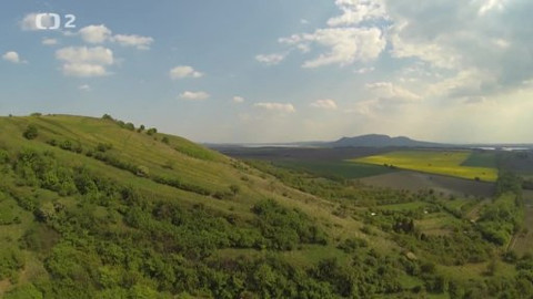 Nedej se! - Společenstvo katránů