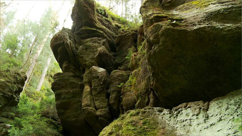 Toulavá kamera - 28. srpna 2022