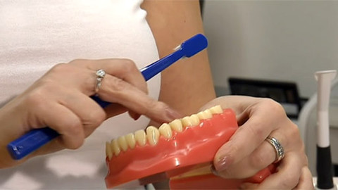 Tep 24 - 21. ledna 2012