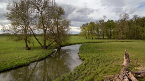 Kořeny lesa - Epizoda 3/40