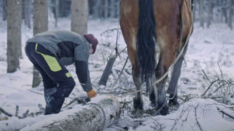 Nedej se! - Člověk, kůň a les