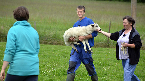 Malá farma - Beránci na prodej