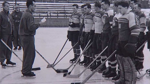 Archiv D - Pan profesor