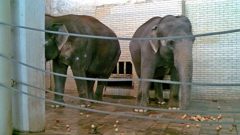 Mezi námi zvířaty - 14. března 2009