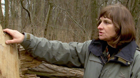 Moje soukromá válka - Po nich potopa