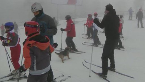 Běžkotoulky - Nové Hamry