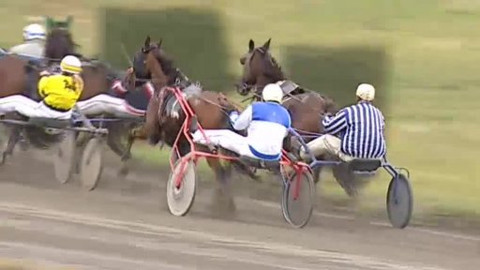 Jezdectví - Cena Greyhounda