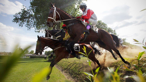 Velká pardubická - 123. Velká pardubická s Českou pojišťovnou