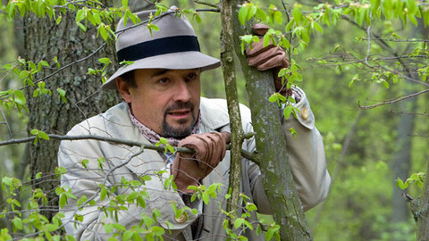 Čapkovy kapsy - Závrať