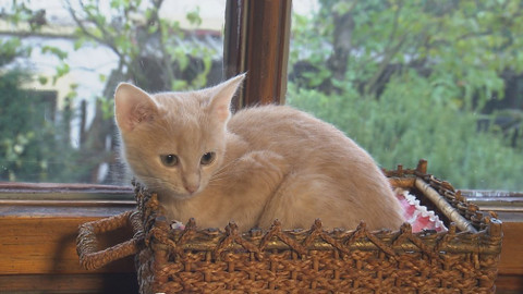 Chcete mě? - 2. února 2020