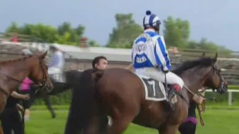 Jezdectví - Sezona v sedle