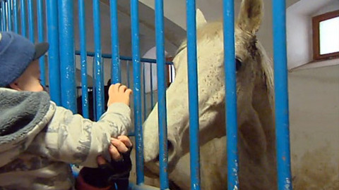 Pomozte dětem - Demosthenes, o.p.s.