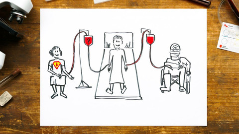 What the Fact? - Jak fungují krevní skupiny?