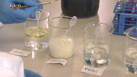 Zprávičky - 13. srpna 2022